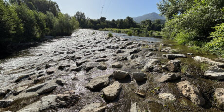 Natura incontaminata lungo il fiume Tech a Le Boulou.